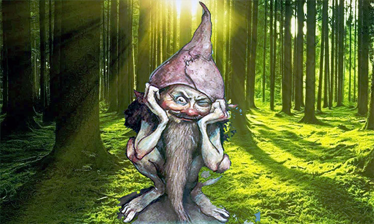 Forest Gnome