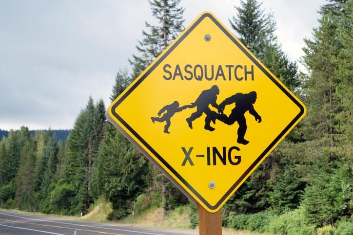Bigfoot expedition in WA
